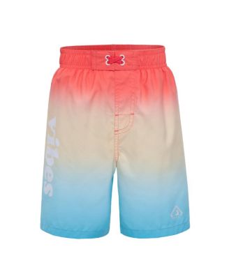 Toddler Boys Swim Trunks with Mesh Liner UPF 50+
