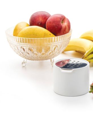 Endurance Stainless Steel 3.25" x 2.5" Fruit Fly Trap