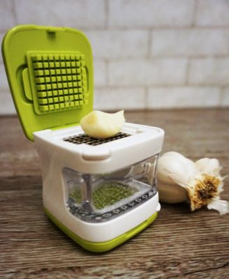 5 Piece Plastic and Stainless Steel 2.8x2.8" Garlic Cube