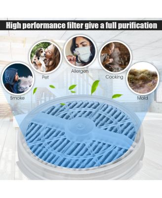 2Pcs Air Purifier Replacement Filter True HEPA & Activated Carbon Filters