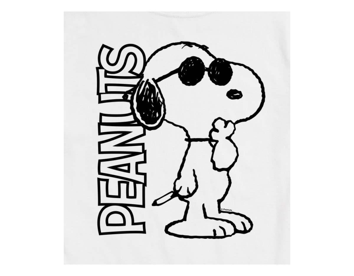 Airwaves Hybrid Apparel Joe Cool Peanuts Logo Mens Short Sleeve Tee In Heather Red