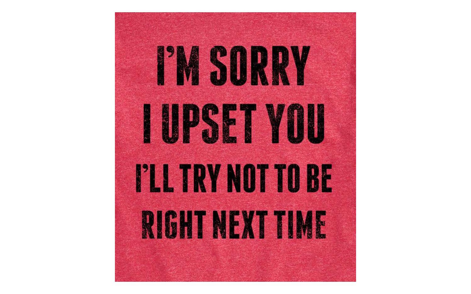 Hybrid Apparel Sorry I Upset You Men's Short Sleeve Tee