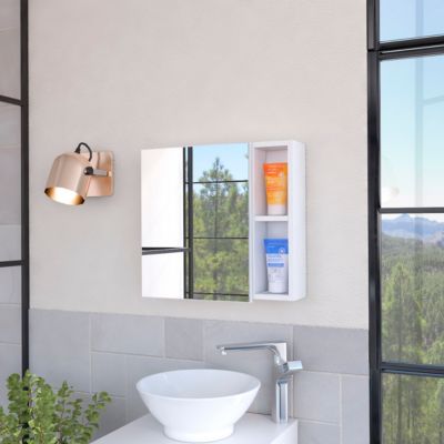 Myrick 2-Shelf Medicine Cabinet With Mirror