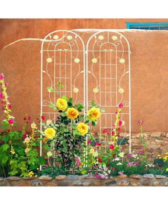 Rustproof Metal Garden Trellis for Climbing Plants
