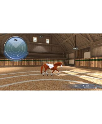 My Riding Stables | Life With Horses - Nintendo Switch