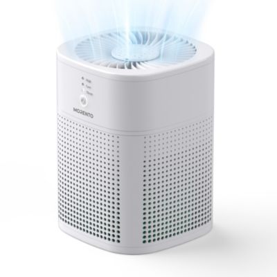 Air Purifiers for Bedroom, Room Air Purifier HEPA Filter for Smoke, Allergies, Pet Dander, Small Air Purifier with Sleep Mode, White, 1 Pack