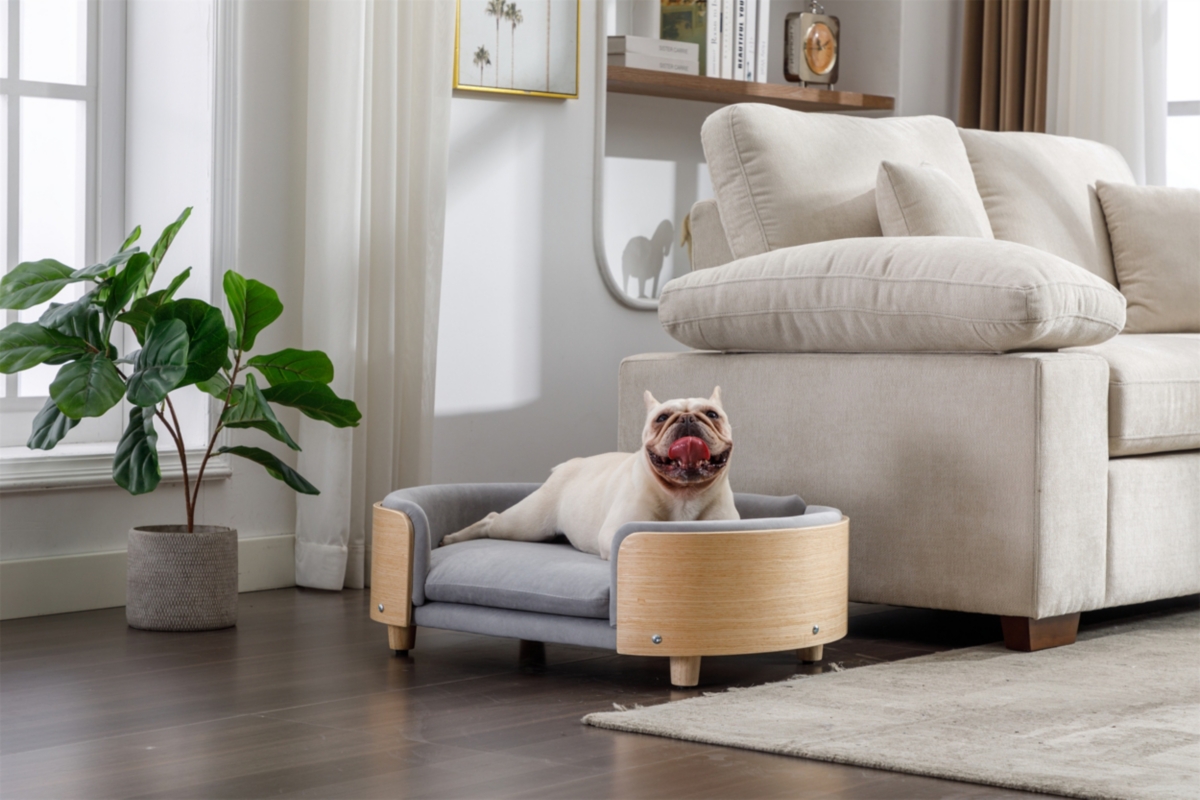 Streamdale Furniture Modern Luxury Dog Bed Premium Pet Furniture with Removable Cushion