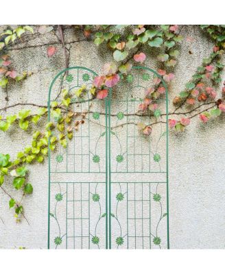 Rustproof 71" Garden Trellis for Climbing Plants