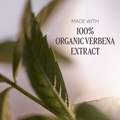 Verbena Shower Gel 8.40 fl oz