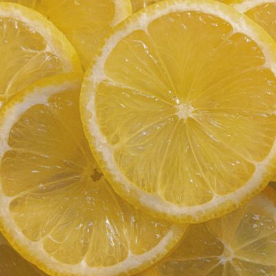 Citrus Verbena Fresh Shampoo  8.40 fl oz