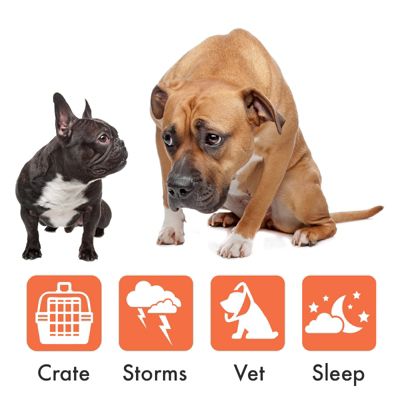 The Original Portable Sound Machine for Dogs | Shhhh Shusher for Dog Anxiety Relief | Puppy must haves | USB-C Charging