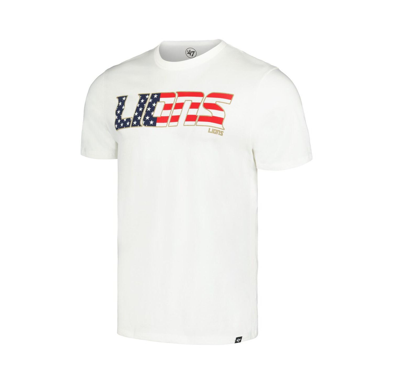 Men's White Detroit Lions Flag Script Franklin T-Shirt