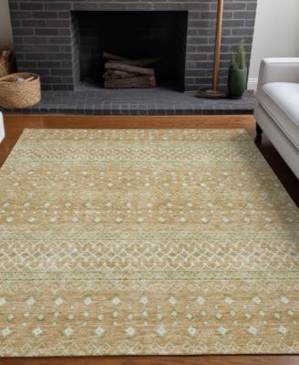 Chantille Machine Washable ACN709 8'x10' Area Rug