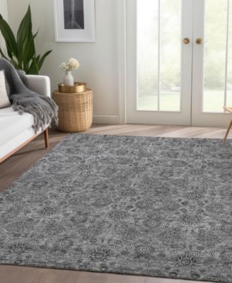 Chantille Machine Washable ACN702 8'x10' Area Rug