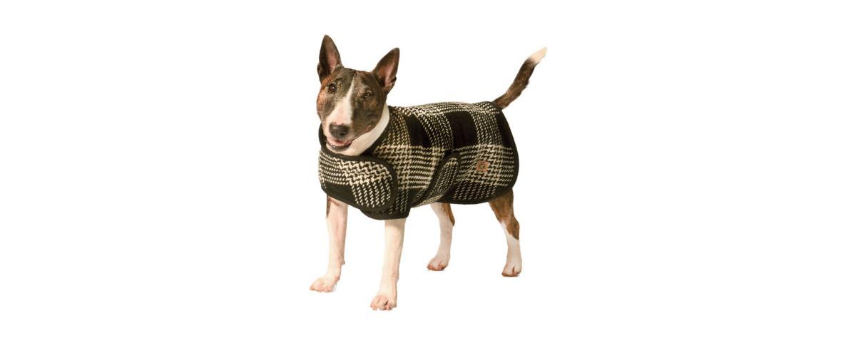 Xxl Black & White Dog Blanket Coat - Black