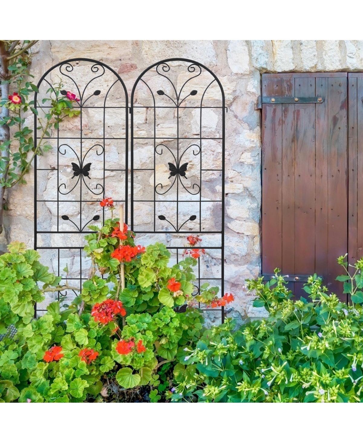 Extendable Garden Trellises 80" Tall, Rust-Resistant, Supports Vines & Climbing Plants
