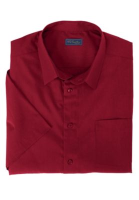Big & Tall Wrinkle-Free Short-Sleeve Dress Shirt