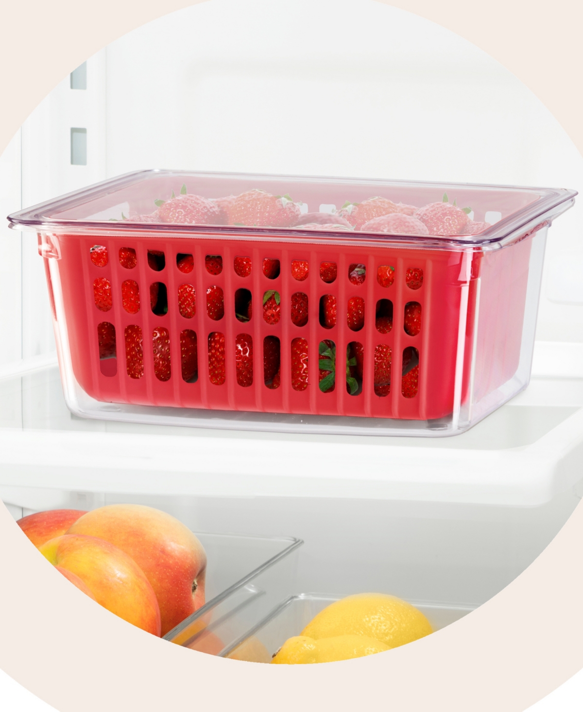 OGGI 8.75" X 6.75" X 3.75" BERRY CONTAINER FOR FRIDGE 