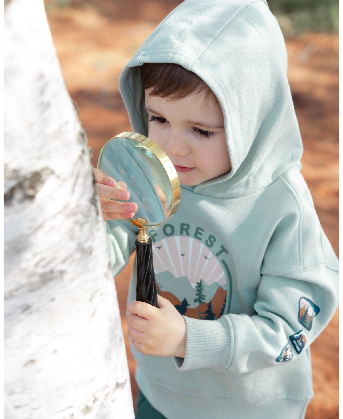 Deux par Deux Toddler Boys Hooded Fleece Sweatshirt With Print- Sage