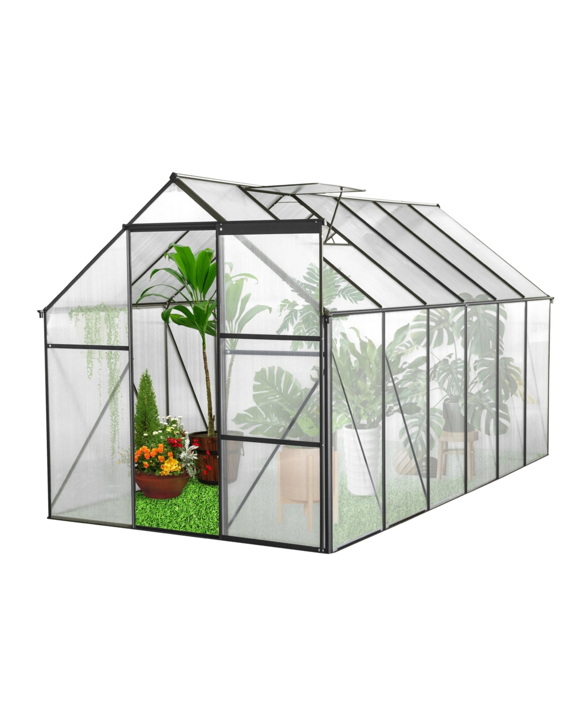 Black 6x12 Ft Polycarbonate Greenhouse Raised Base and Anchor Aluminum - White