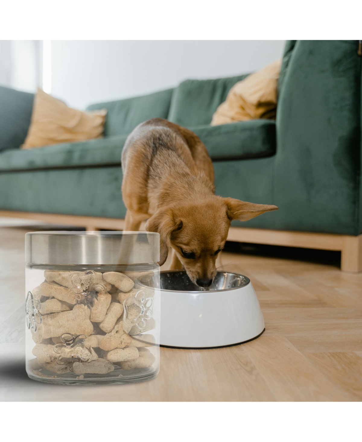 Amici Pet Maxwell Paw Small Glass Storage Canister, 28 oz., Silver Lid - silver lid