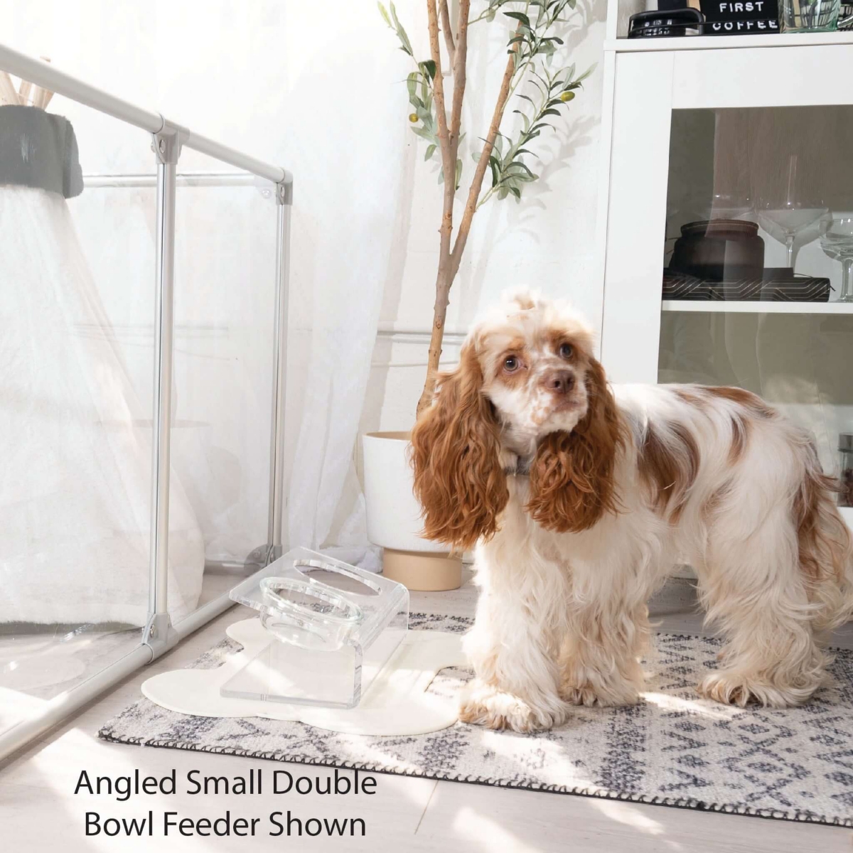 Clearly Loved Pets Modern Acrylic Glass Bowl Feeders, Angled Style, Single Bowl