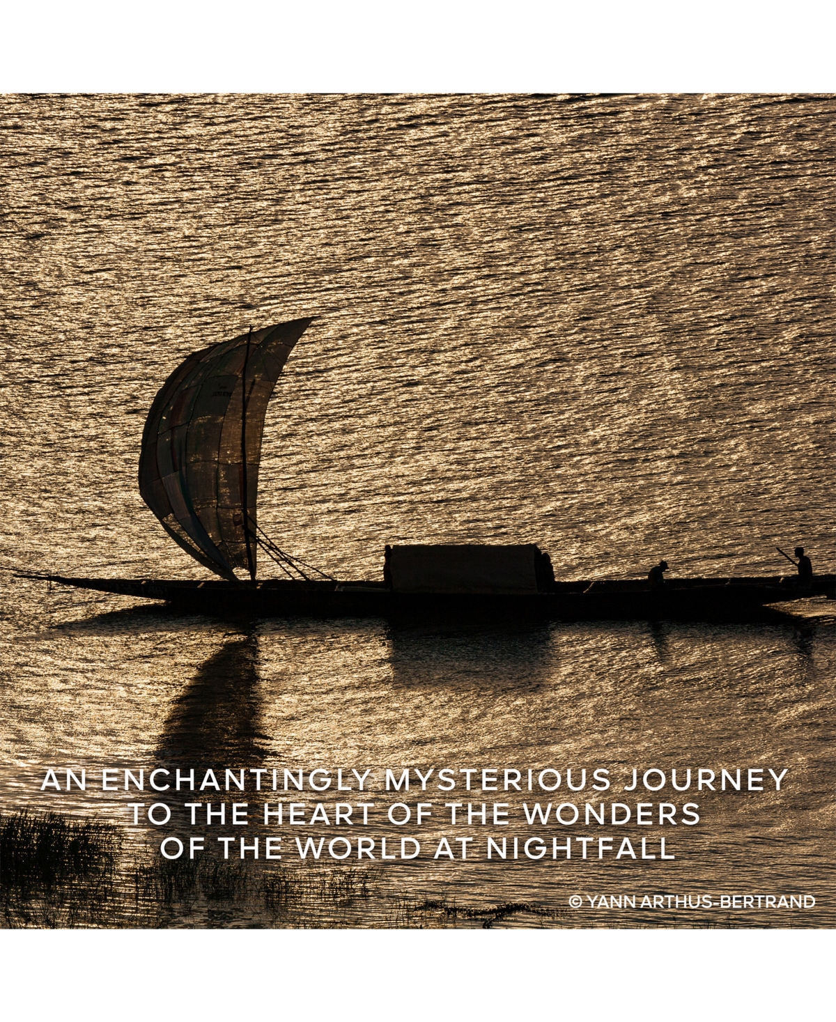 Guerlain Unisex Santal Royal Edp Spray 4.2 oz Fragrances 3346470148246 In No Color