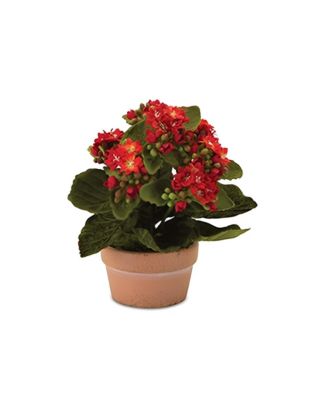 Set of 4 Kalanchoe Plants with Pots-7 Inches High, Lifelike Artificial Flowers in Stylish Containers for Home Decor