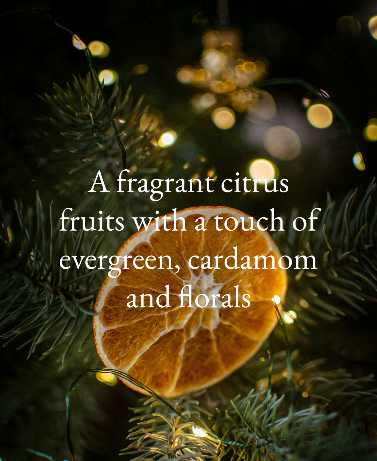 Aromatique Orange & Evergreen Votive Candle