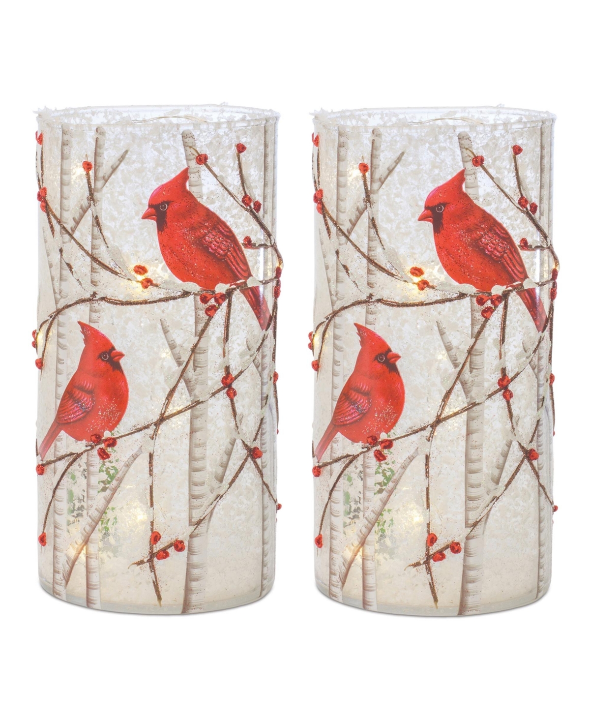 Set of 2 Led Cardinal Bird Luminaries for Festive Decor - White, Red