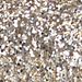 Champagne Glitter