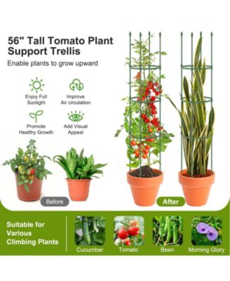 2-Pack Garden Trellis Tomato Cage with Adjustable Height