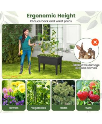 Self-watering Raised Garden Bed Elevated Planter with Climbing Trellis