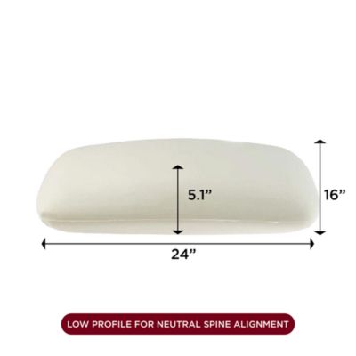 Airlight Foam Pillow Core