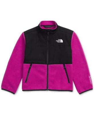 The North Face Toddler & Little Girls Denali Colorblocked