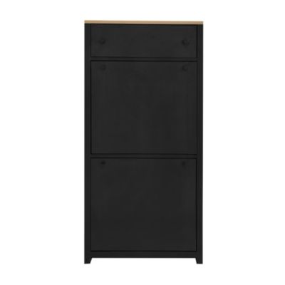 Modern Black Shoe Cabinet with 4 Flip Drawers