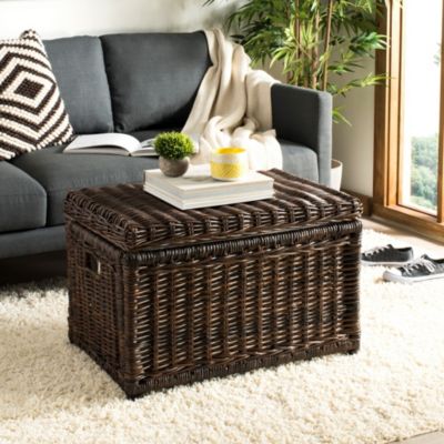 Elijah Wicker Storage Trunk
