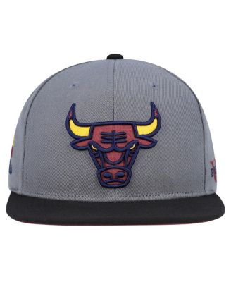Men's Gray/Black Chicago Bulls Core Snapback Hat