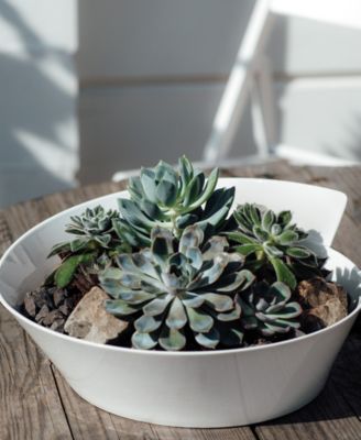 New Wave Large Round Salad Bowl