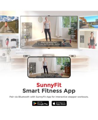 Mini Stepper Stair Stepper Exercise Equipment with Higher Weight Capacity - SF-S021054