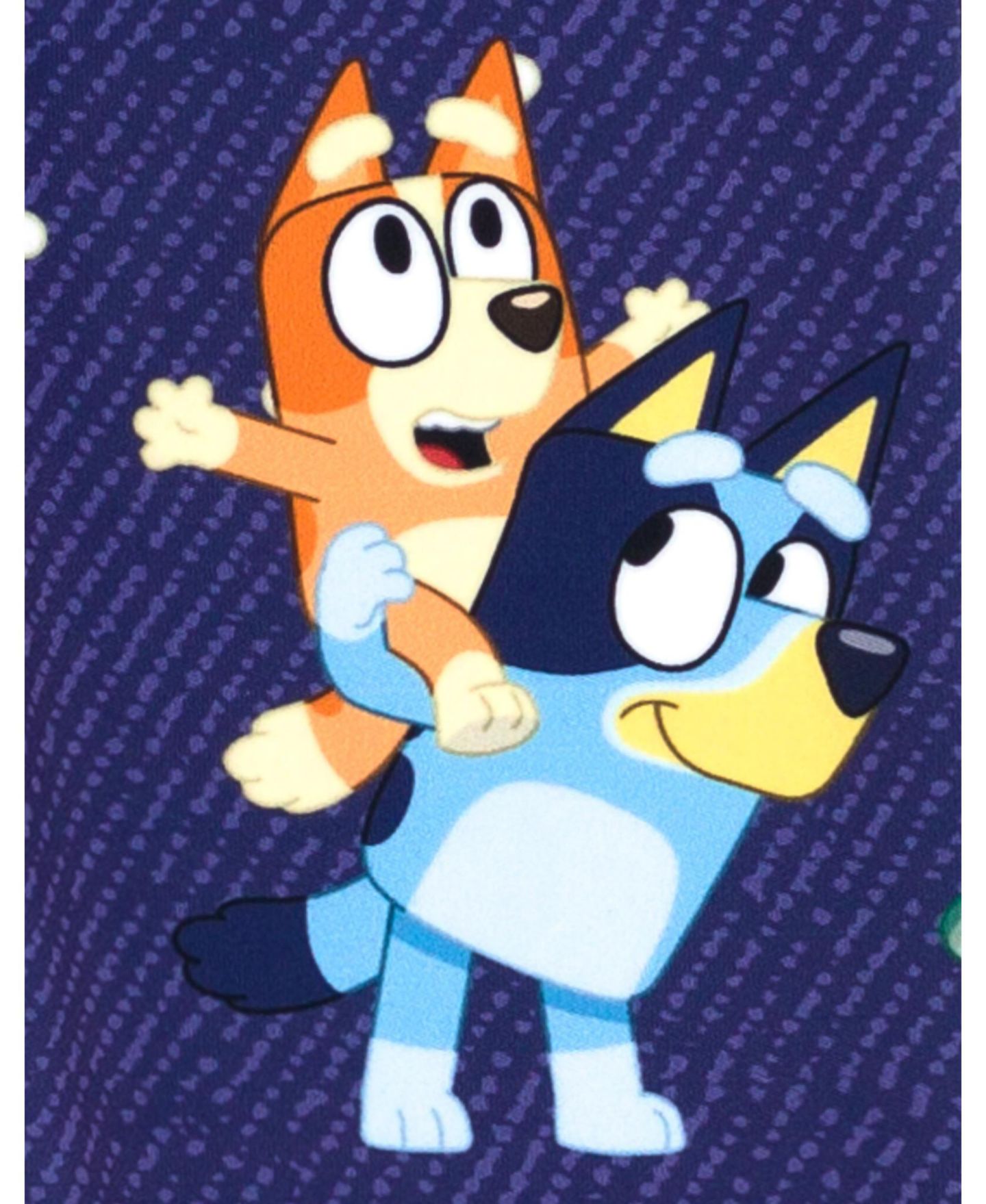 Детский комплект Bluey: футболка и легинсы для девочек, цвет: Зелёный / Синий — фото 5