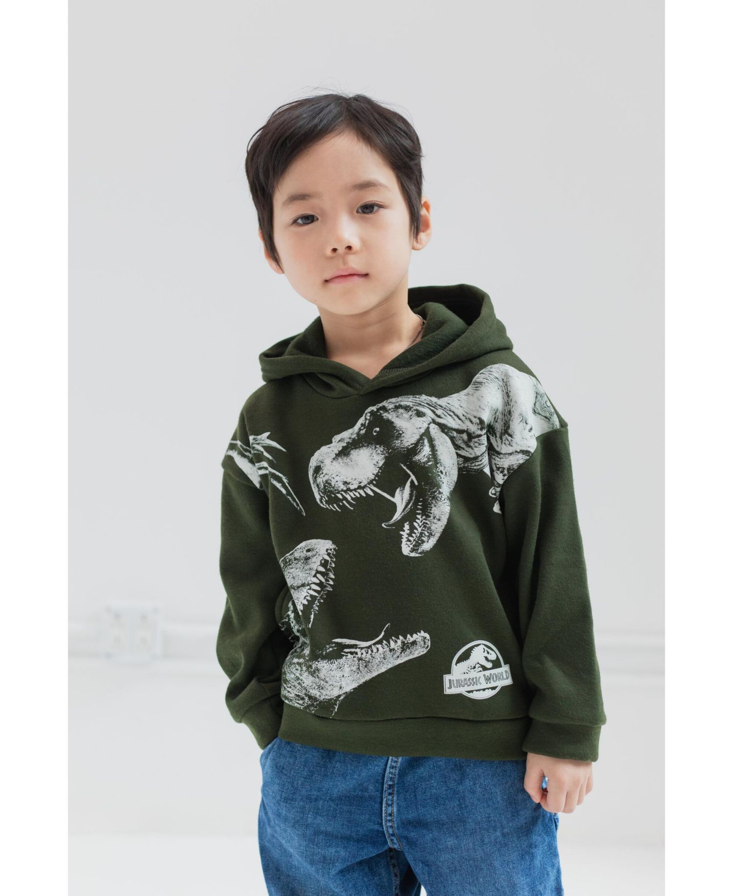Toddler Boys Dinosaur T-Rex Fleece Pullover Hoodie to