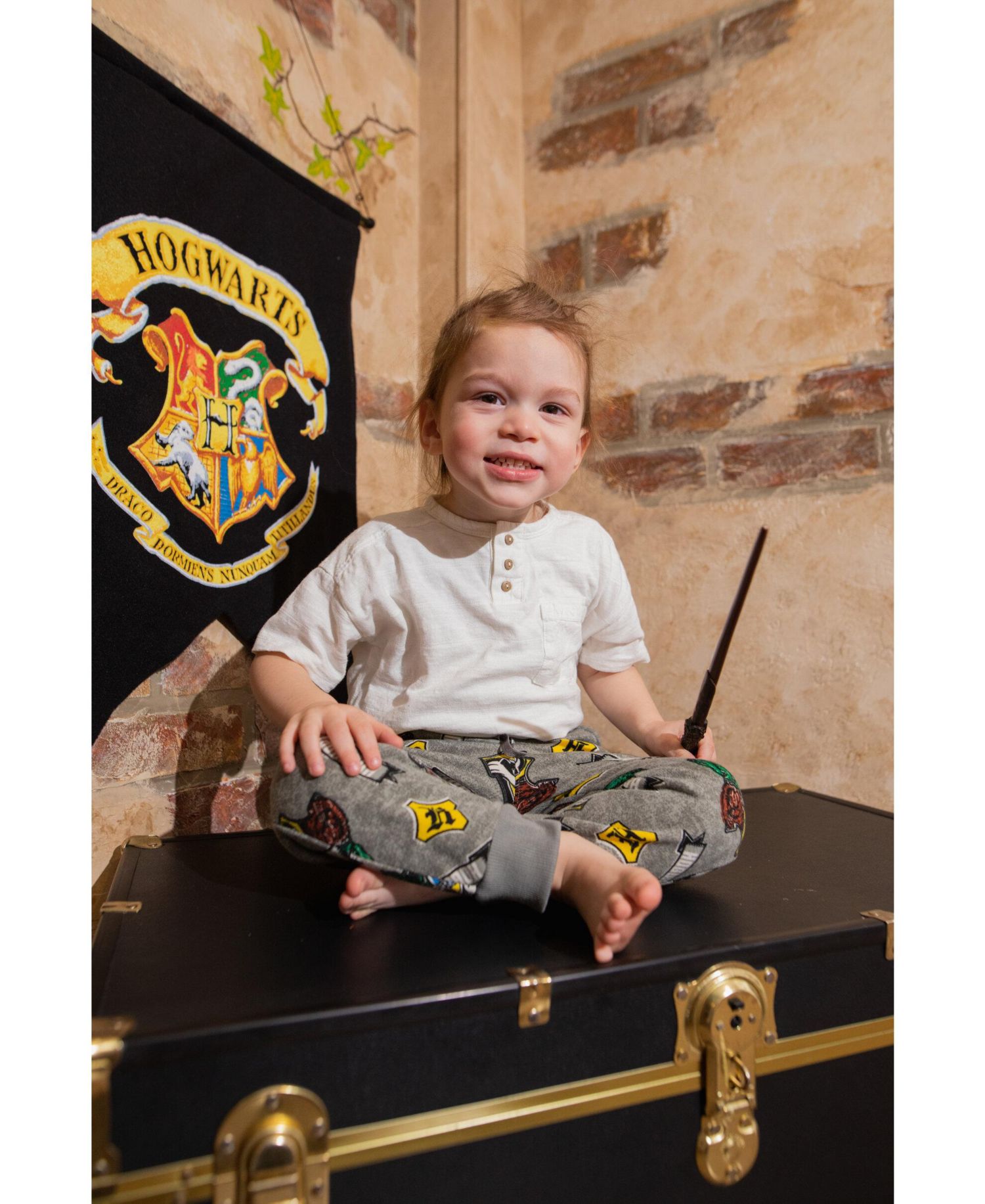 Little Boys 6-20 Gryffindor Slytherin Hufflepuff Ravenclaw Fleece 2 Pack Jogger Pants