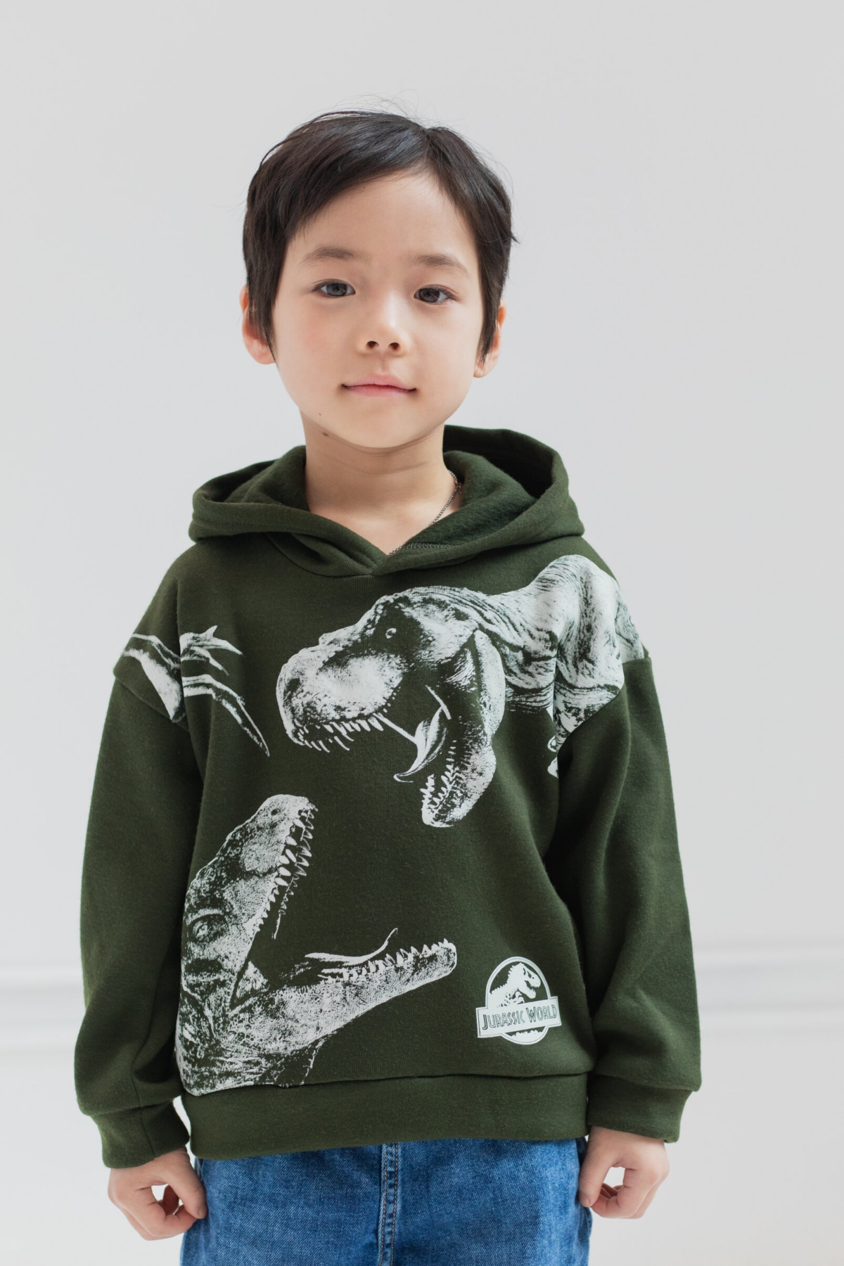 Jurassic Park Boys World Dinosaur T-Rex Fleece Pullover Hoodie