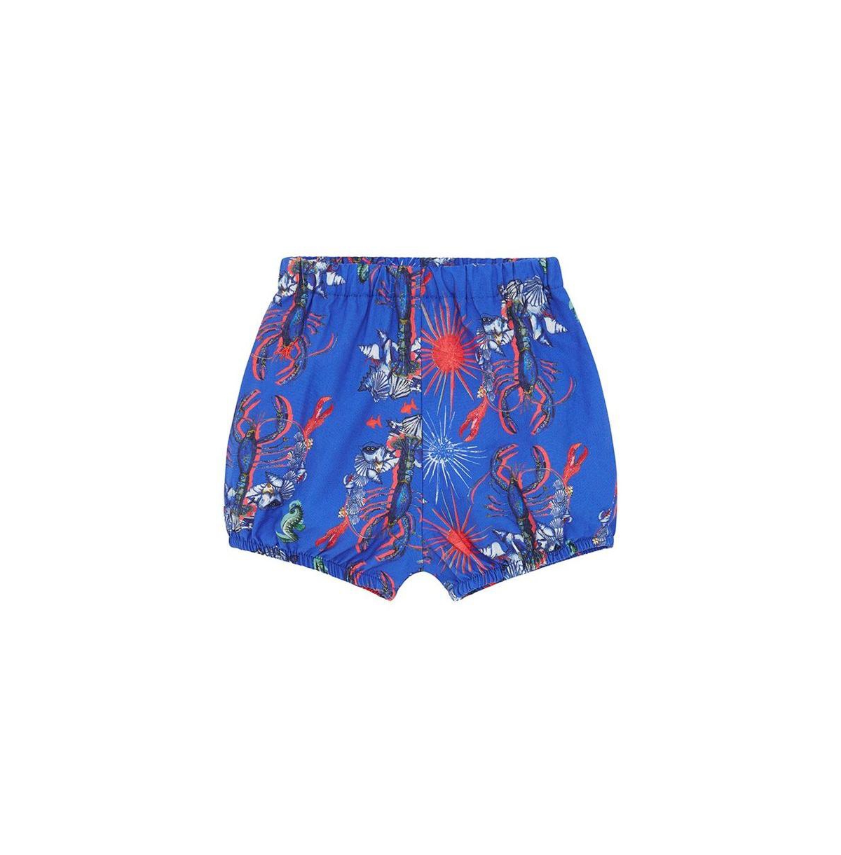 Vild House of Little Baby Vild Lab No.8 - Rare Living Lobsters, Organic Cotton Bloomer Shorts