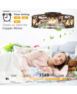 Caged Ceiling Fan with Lights and Remote