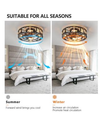 Caged Ceiling Fan with Lights and Remote