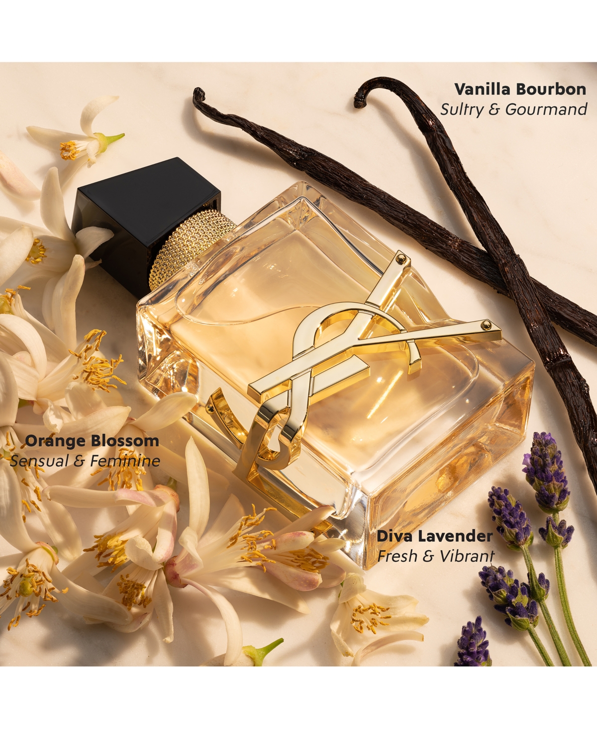Saint Laurent 2-pc. Libre Eau De Parfum Gift Set In No Color