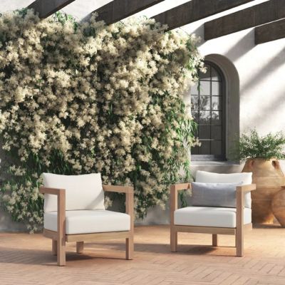 Streamdale Modern Acacia Wood Club Chair With Cushions (Set Of 2)