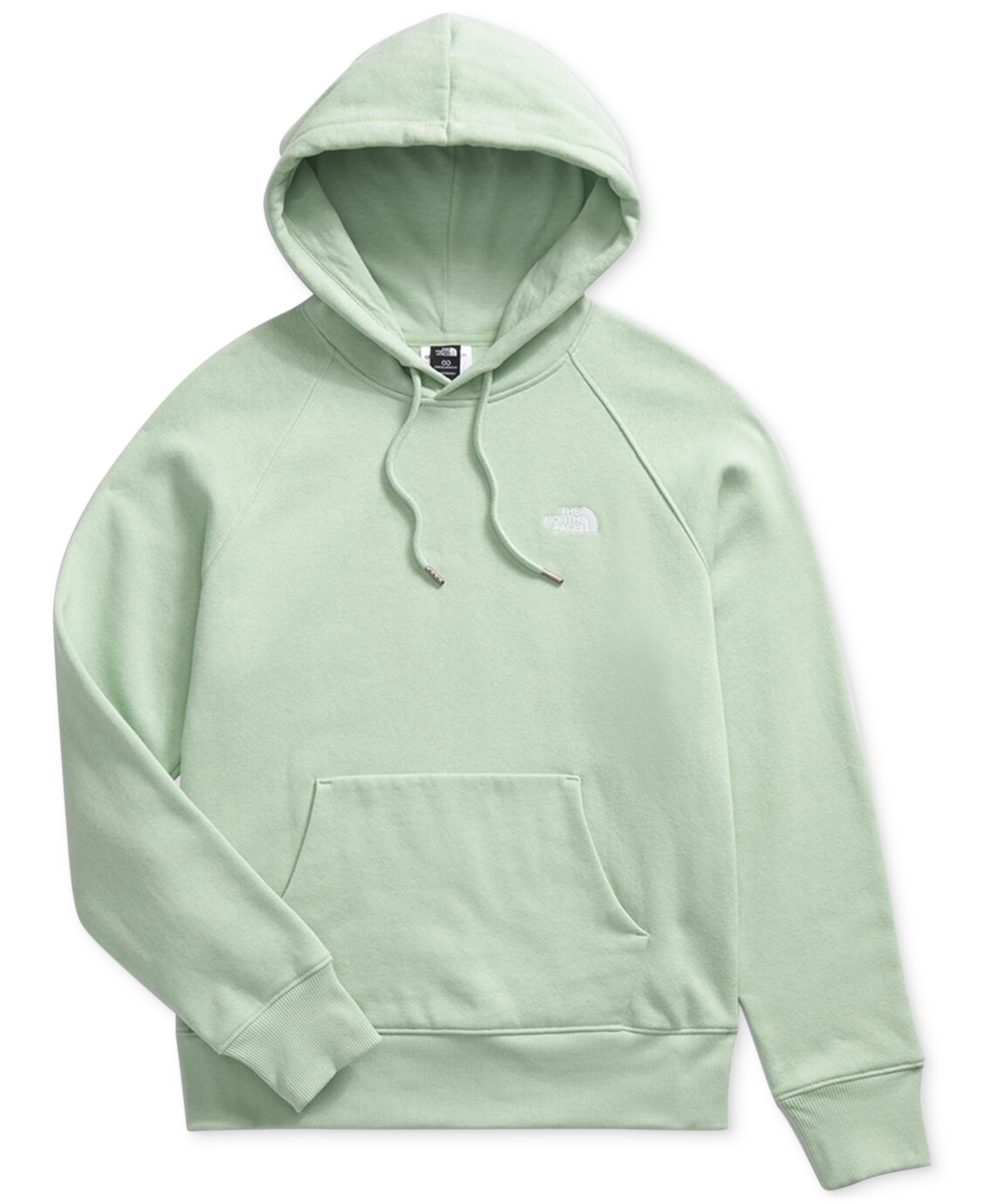 The North Face Women's Evolution Relaxed-fit Hoodie In Misty Sage